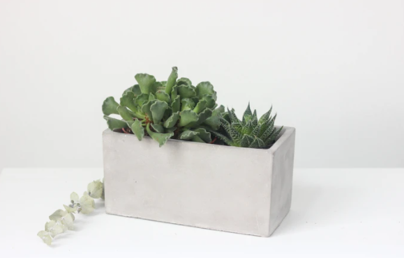Concrete Planter| Rectangle