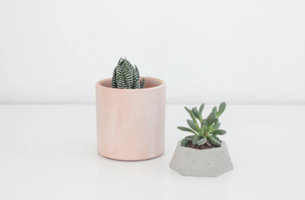 Blush Terracotta| Cyclinder Planter