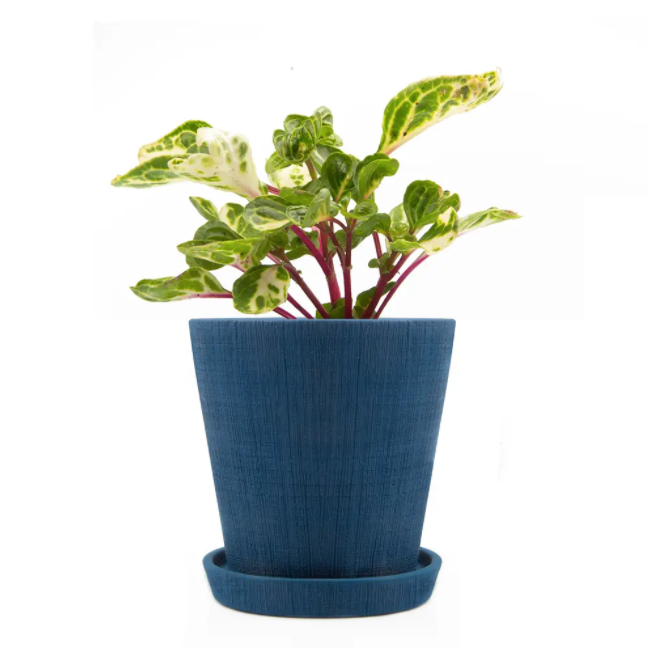 Cross Hatch Clay Pot & Saucer