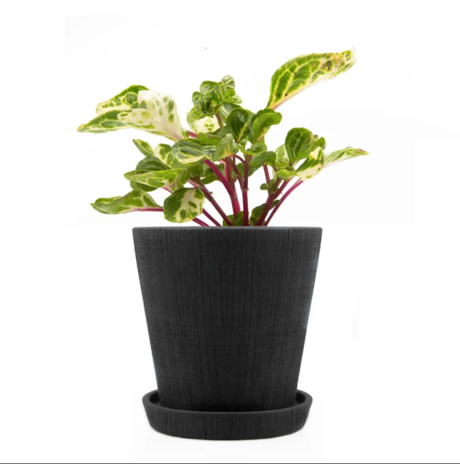 Cross Hatch Clay Pot & Saucer