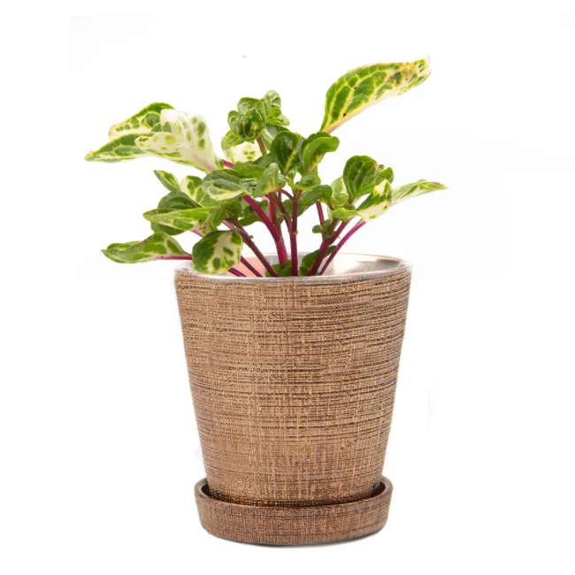 Cross Hatch Clay Pot & Saucer