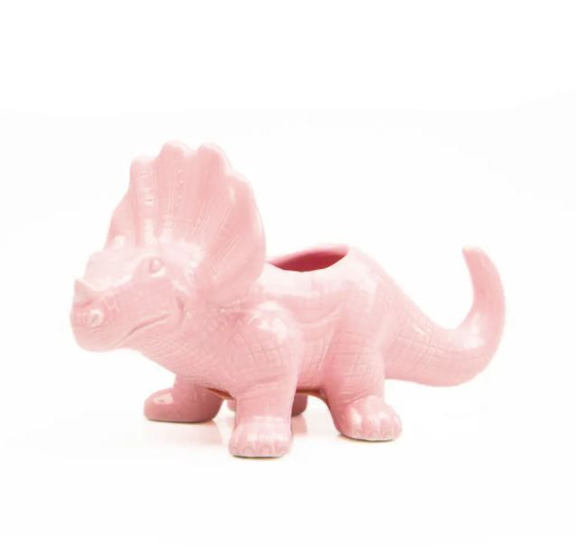 Dinosaur Planters