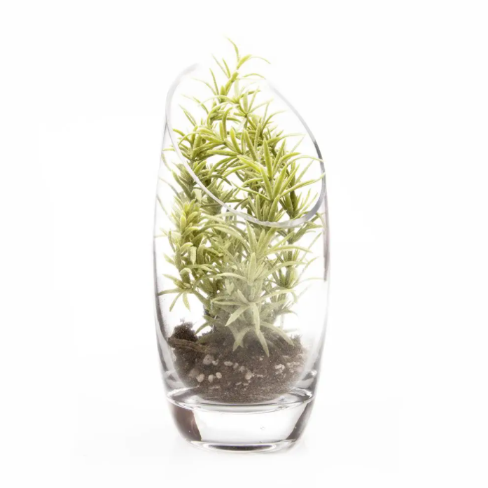 Terrarium Glass