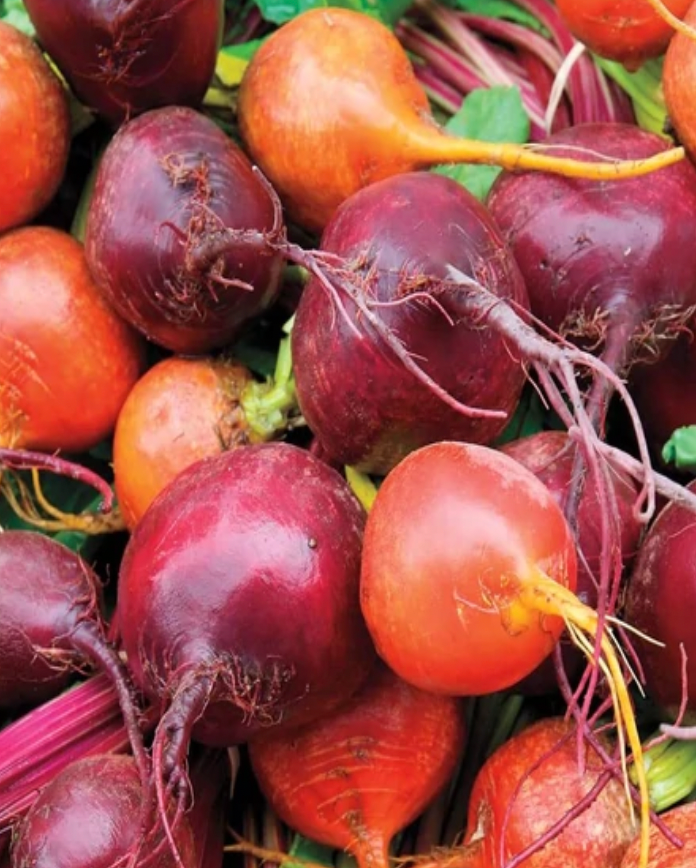 Beets | Beet Blend | Seeds