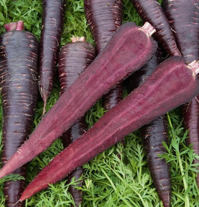 Carrots | Deep Purple | Seeds
