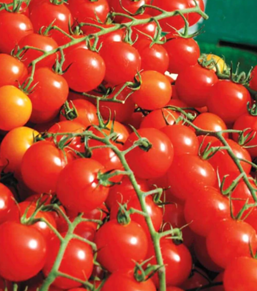 Tomatoes | Sweet Million Cherry | Seeds