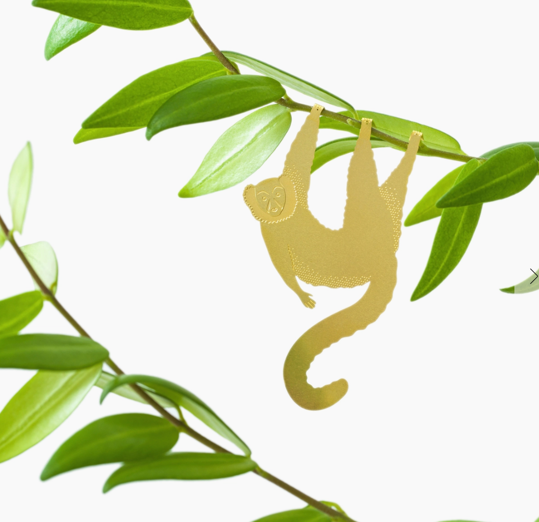 Plant Animals | Another Studio