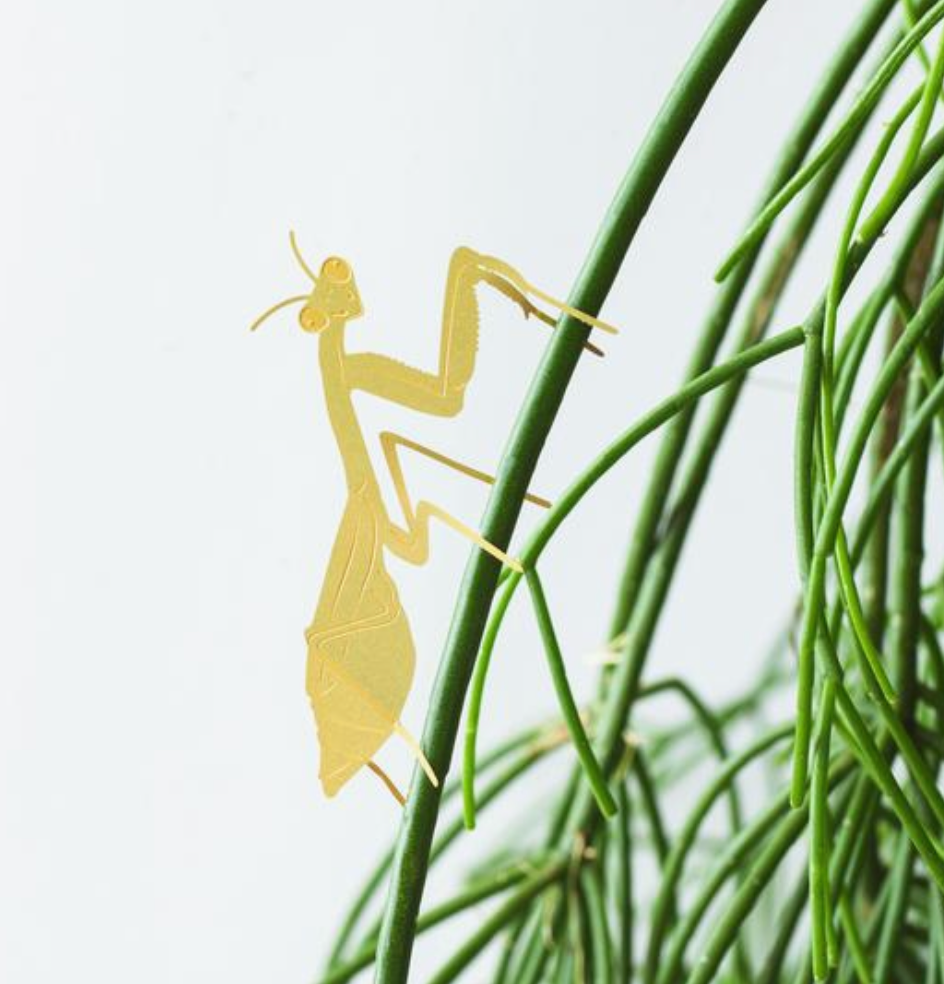 Plant Animals | Another Studio