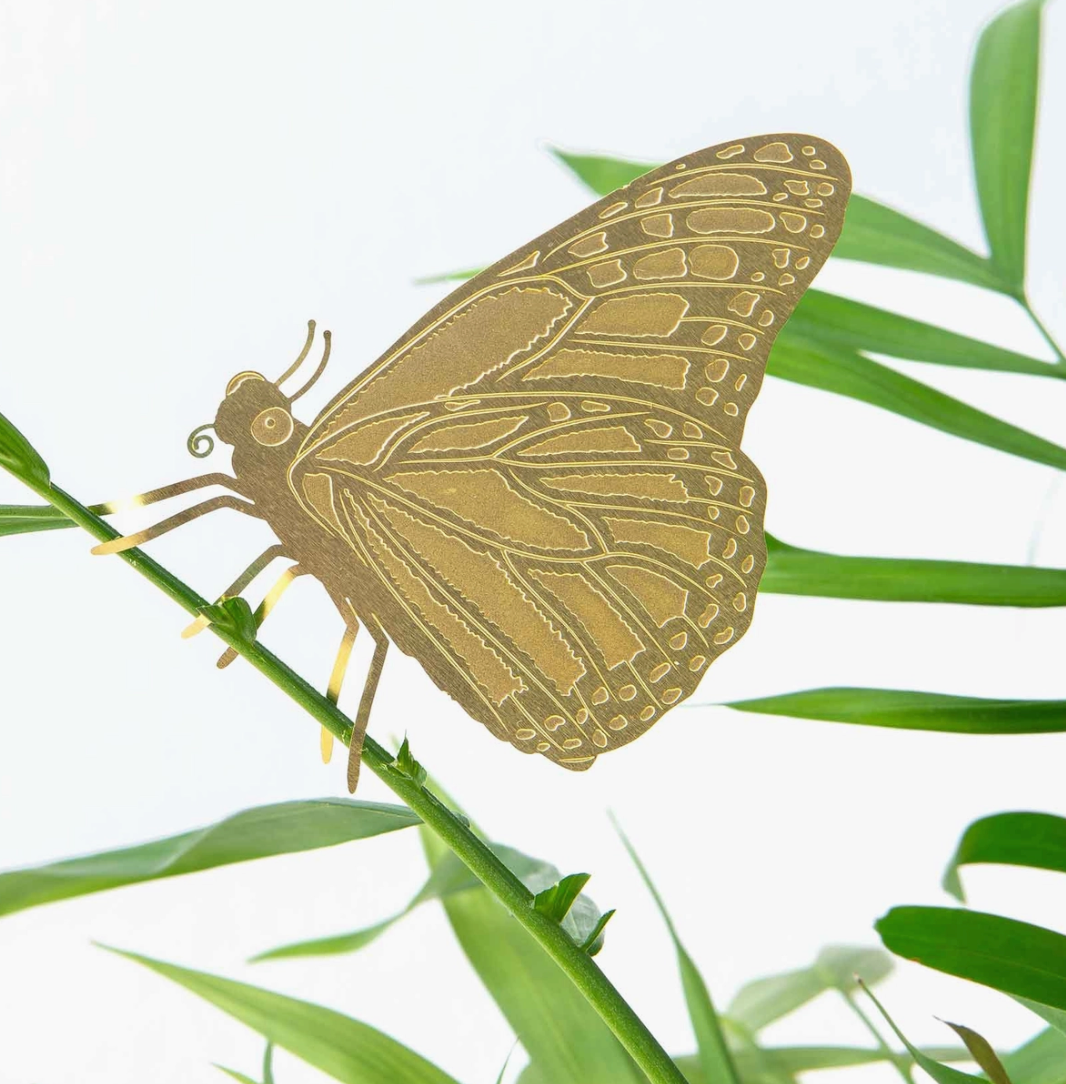 Plant Animals | Another Studio