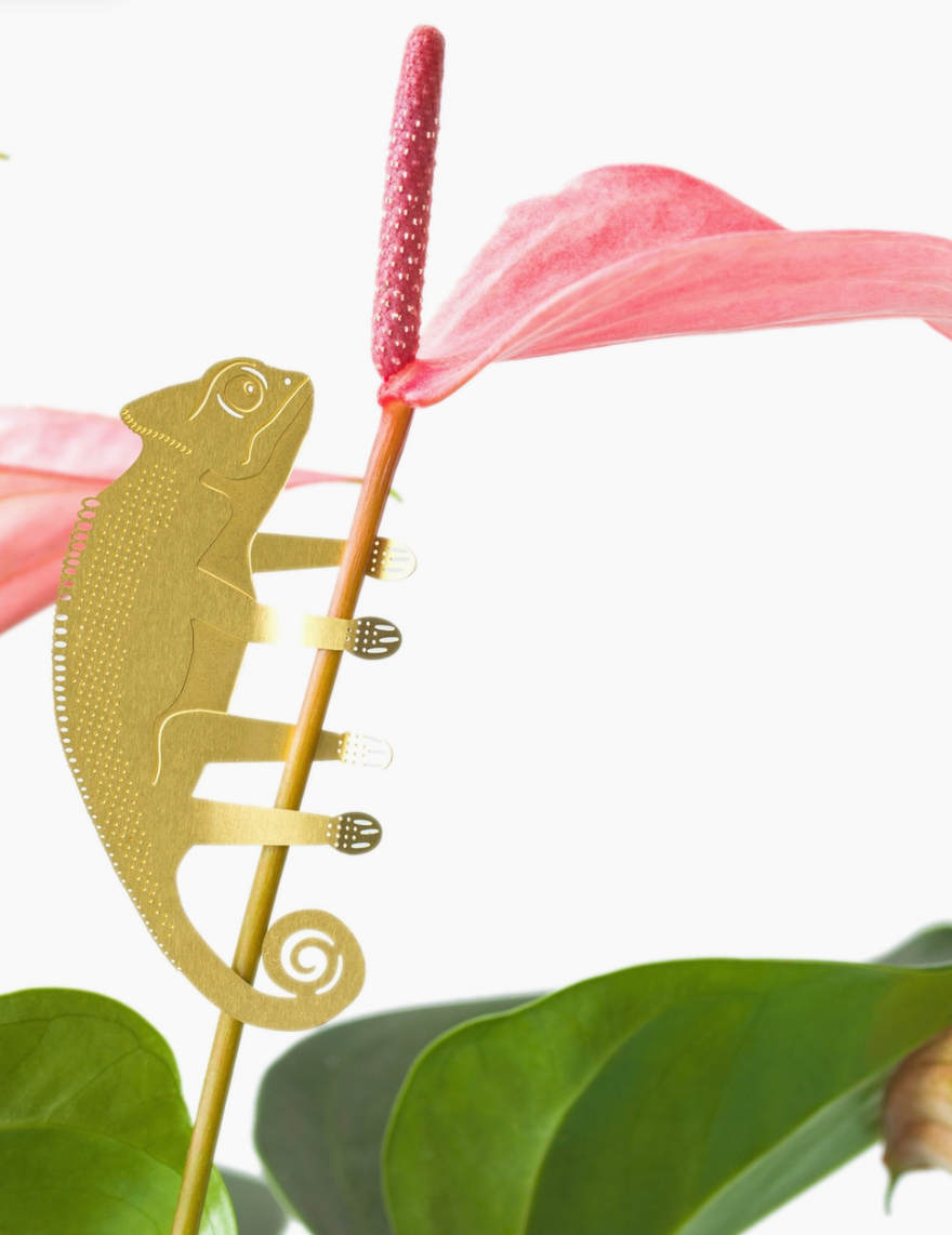 Plant Animals | Another Studio