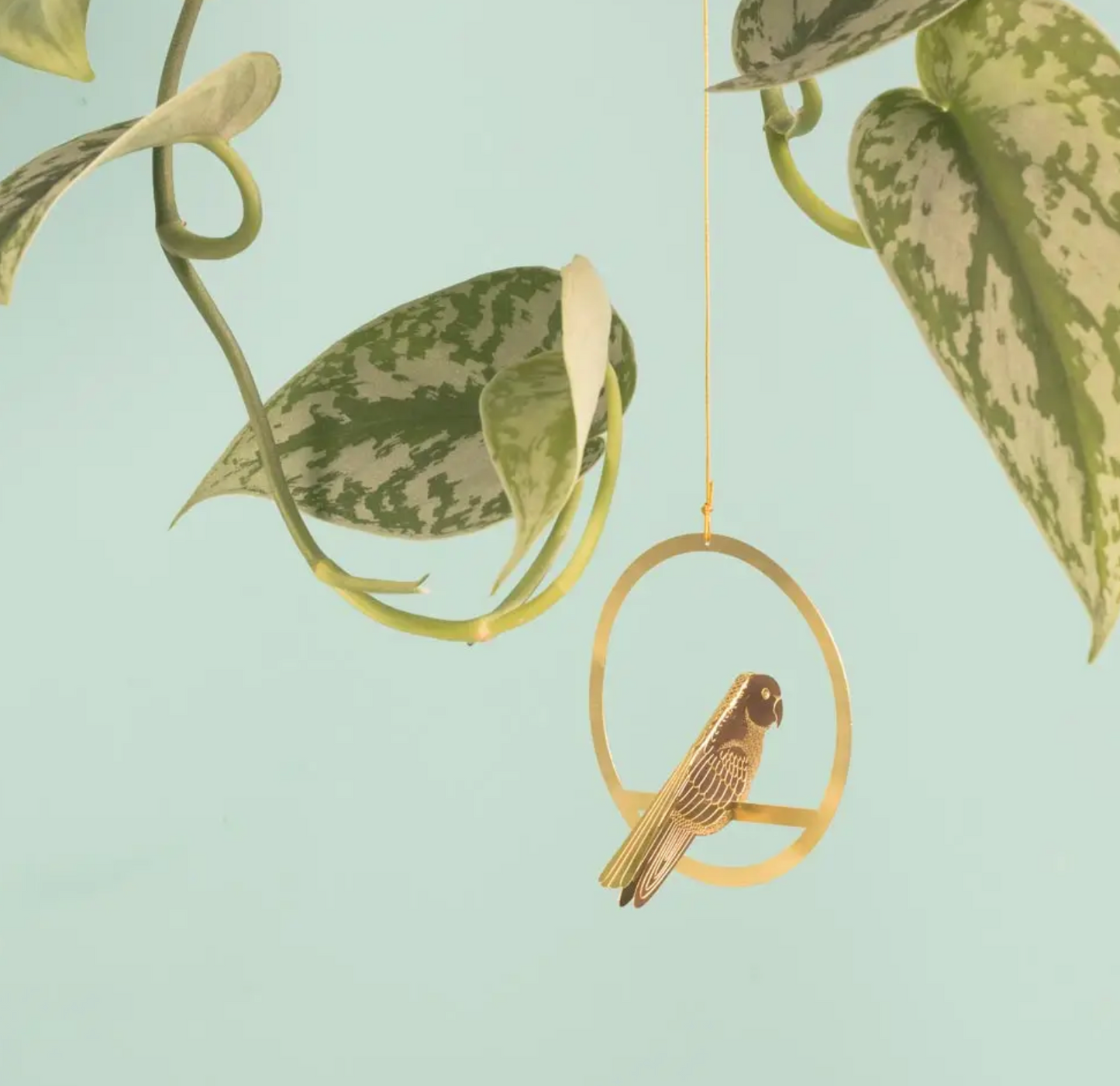 Plant Animals | Another Studio