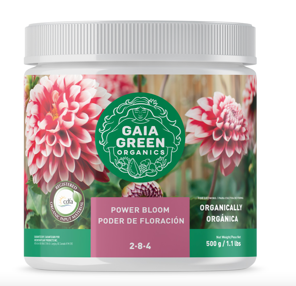 Power Bloom 284 | Gaia Green