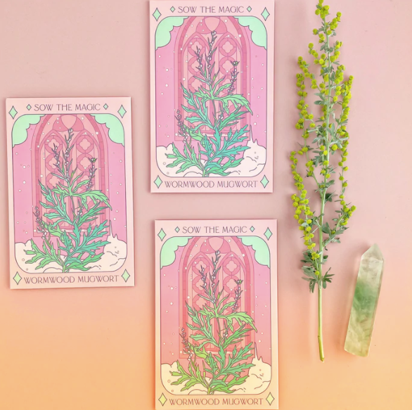MUGWORT | Tarot Card Seeds