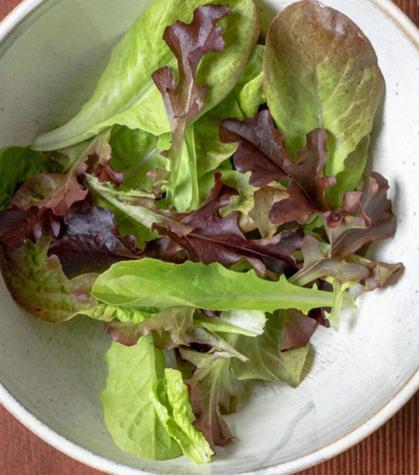 Lettuce | Summer Picnic | Seeds