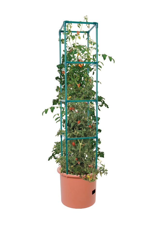 Heavy Duty Tomato Grower