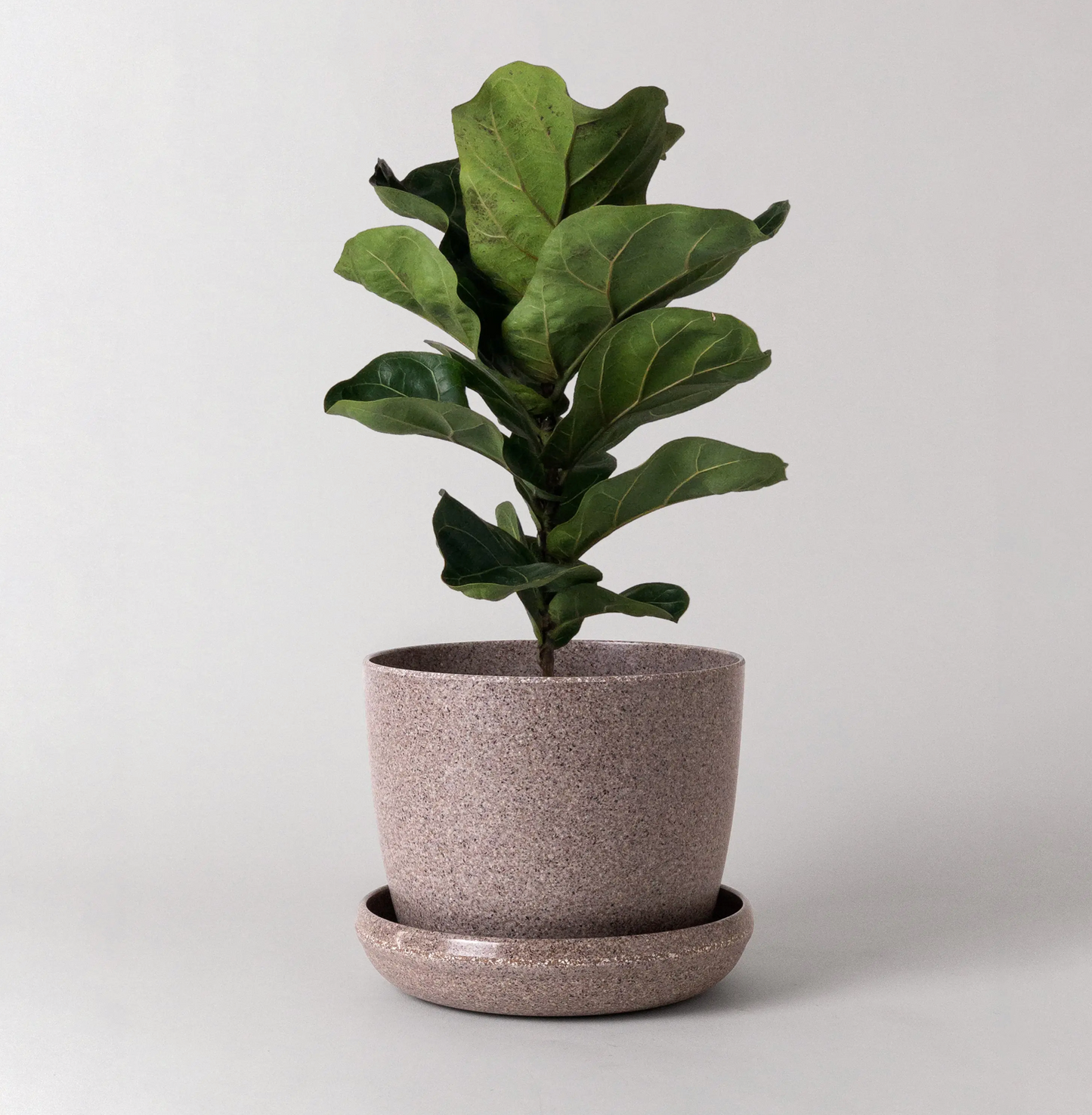 Kanso | Natural Textures Pot & Saucer