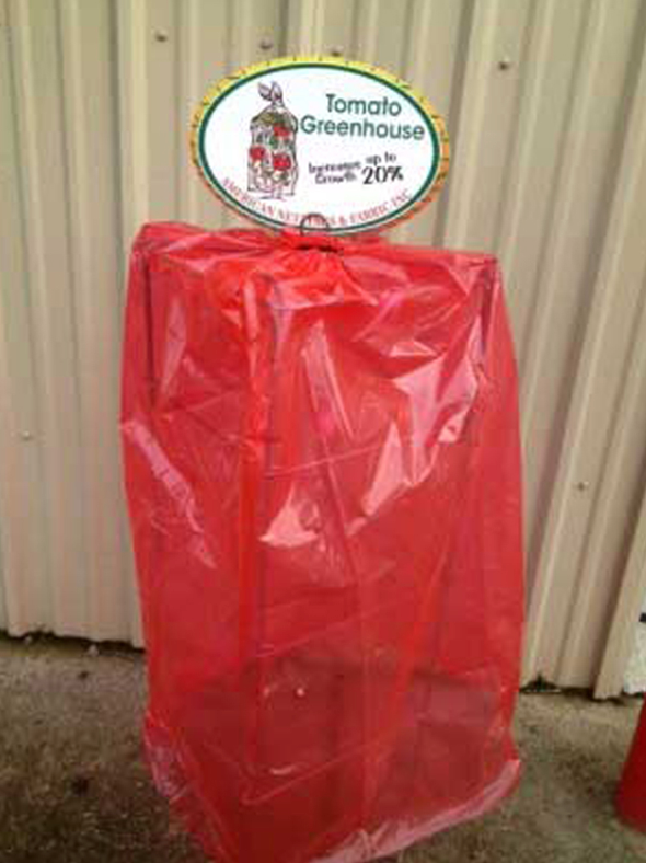 Tomato Greenhouse