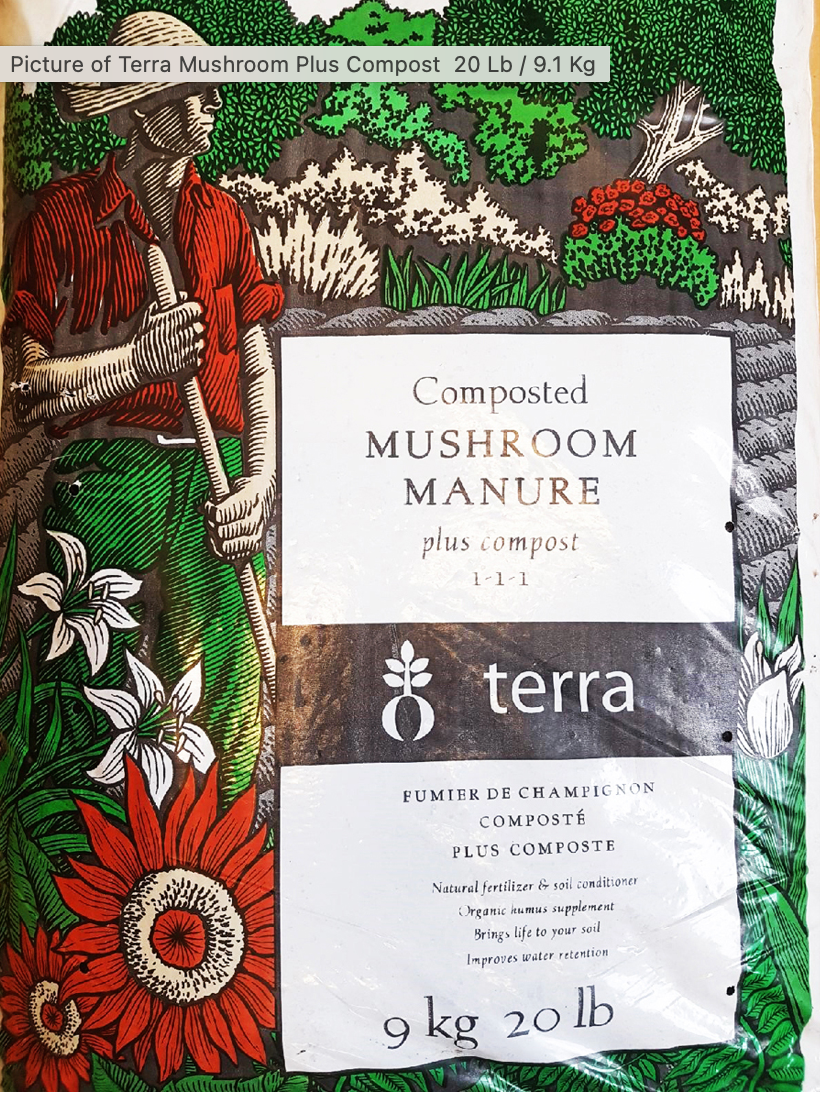 Mushroom Manure Compost | Terra