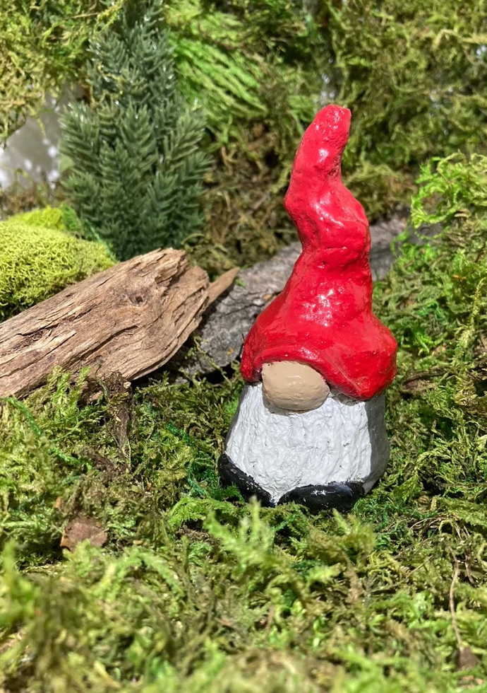 Gnome And Garden