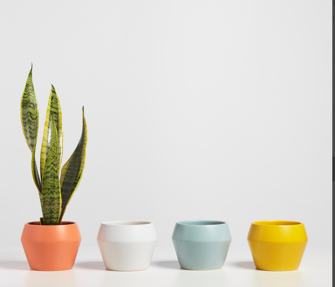 P & P | Modern Ceramic Planter