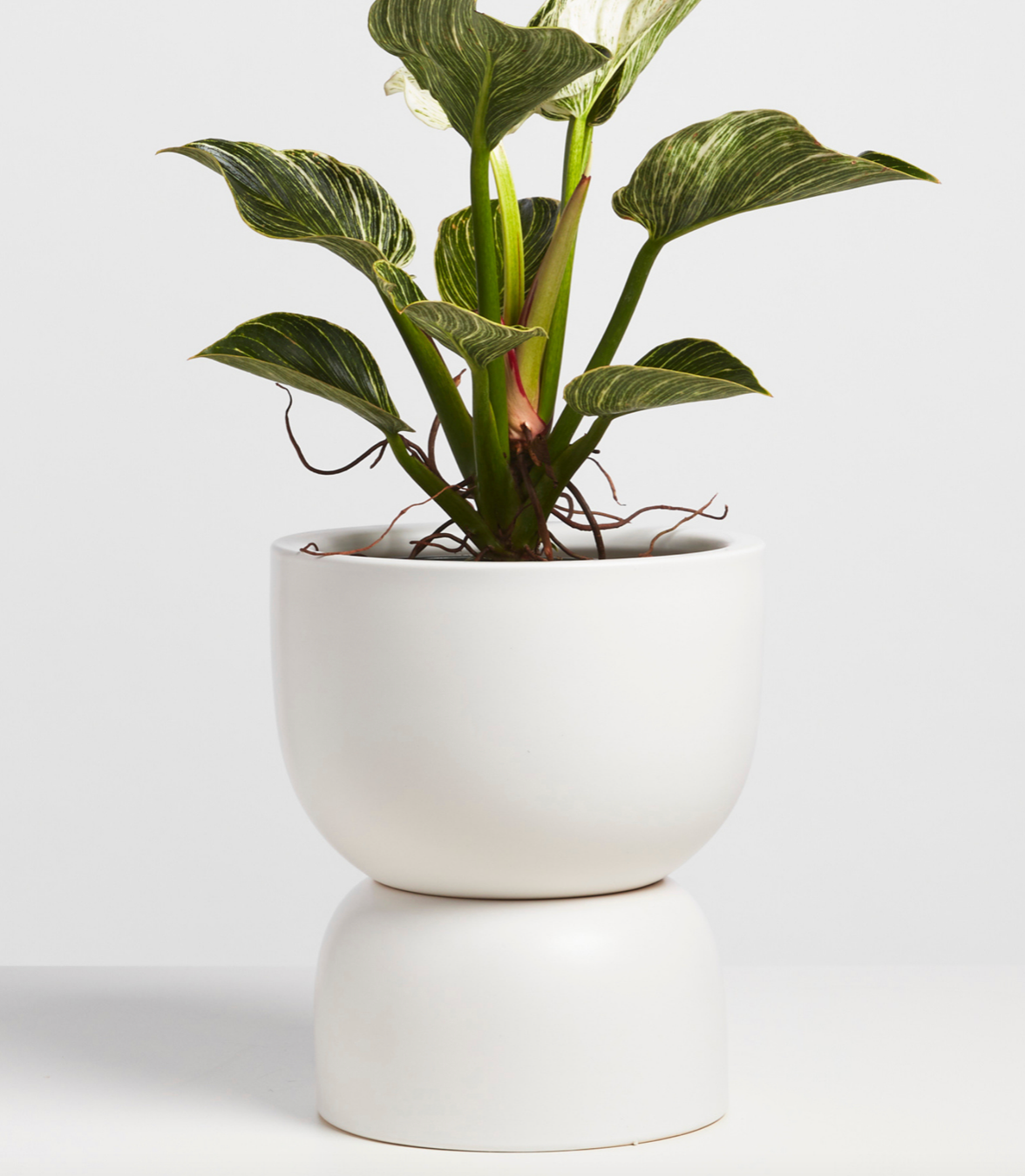 P & P | Hourglass Ceramic Planter