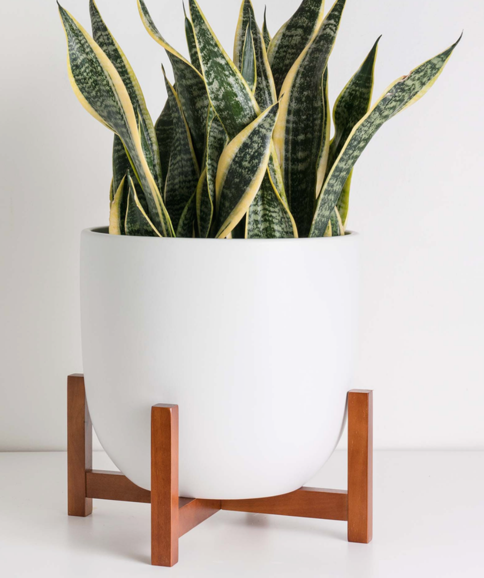 Wood Plant Stand 10"