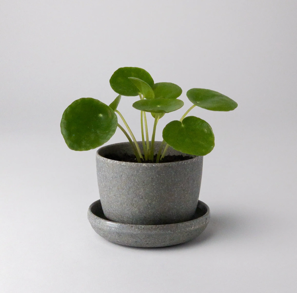 Kanso | Natural Textures Pot & Saucer