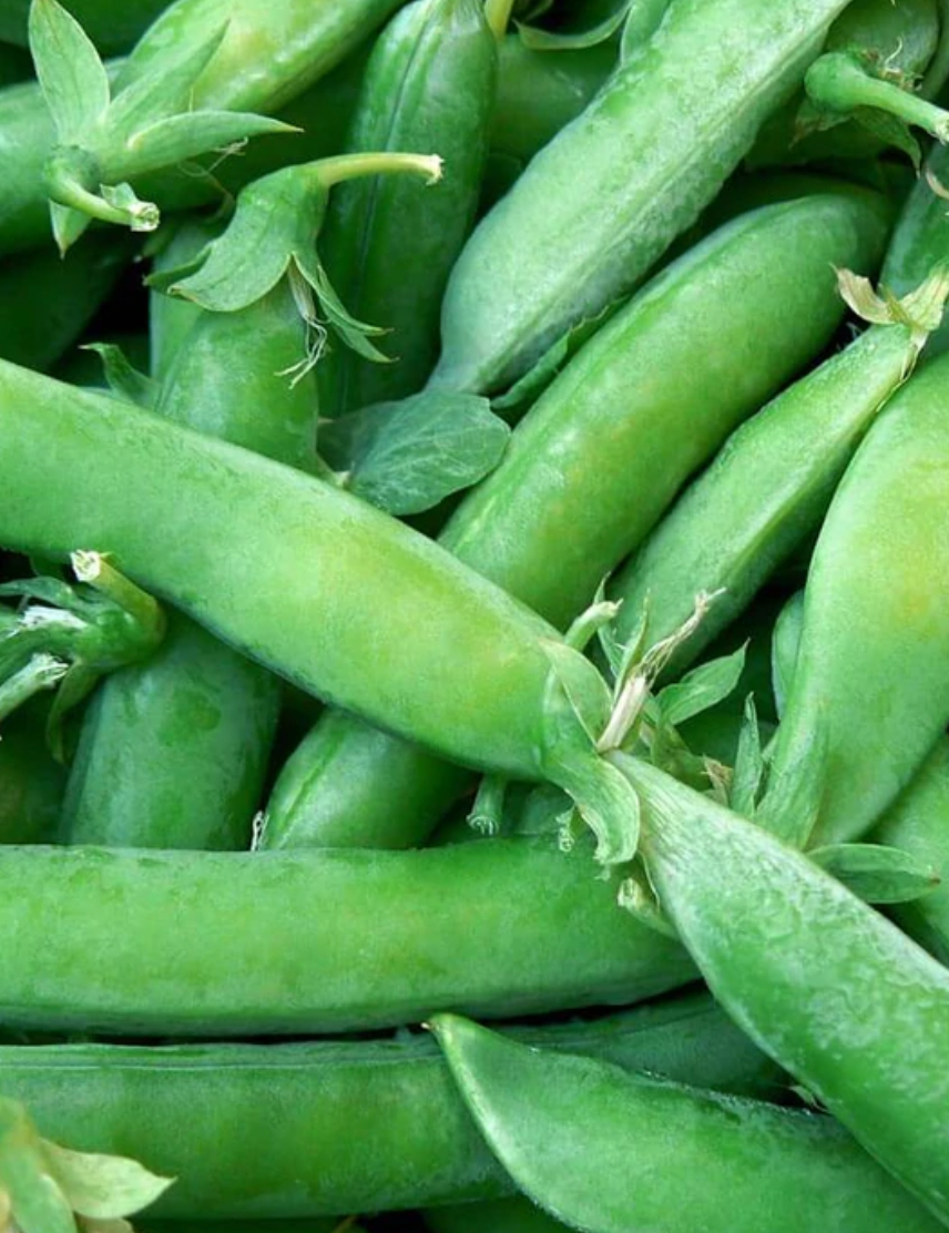 Seeds | Peas Super Sugar