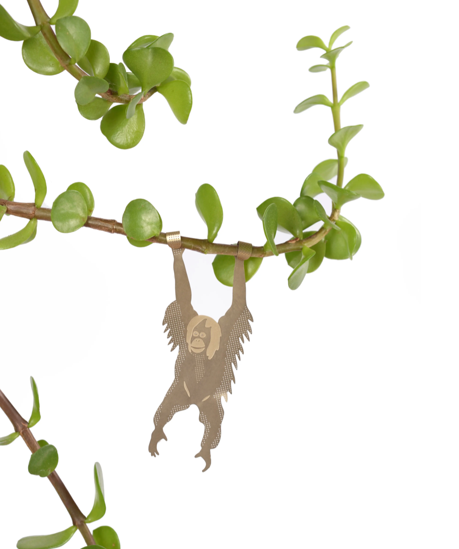 Plant Animals | Another Studio