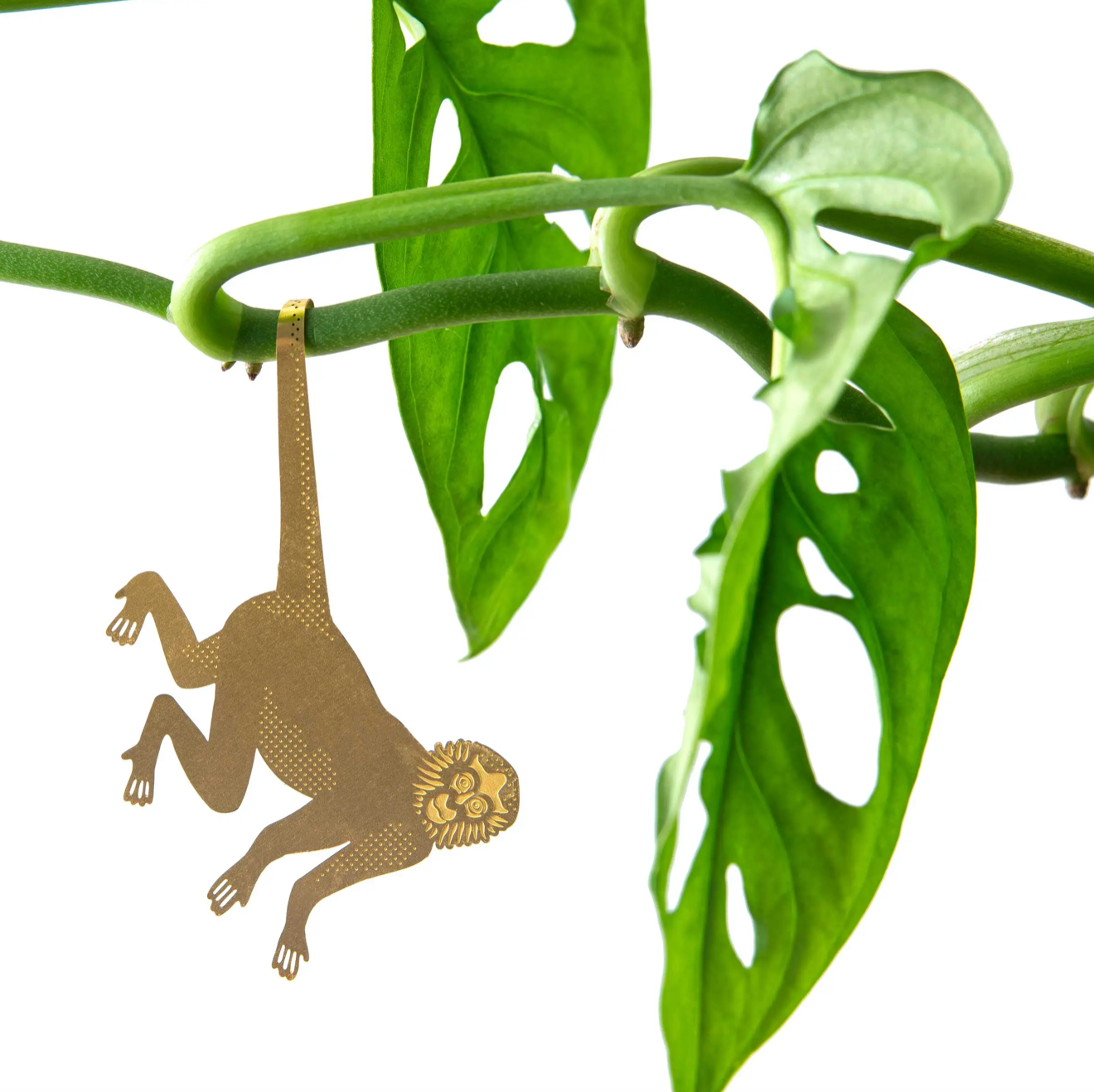 Plant Animals | Another Studio