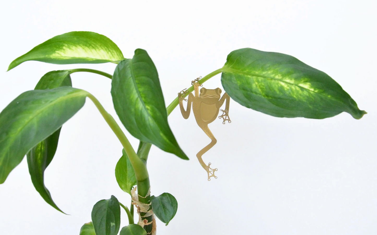 Plant Animals | Another Studio
