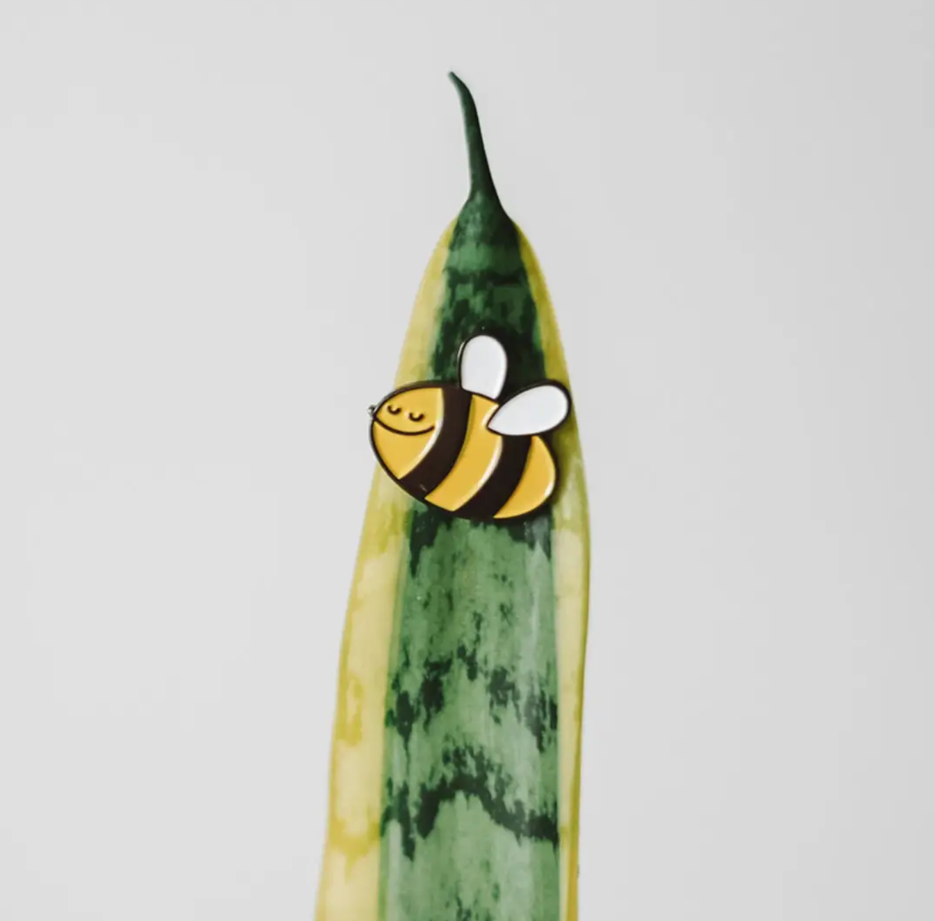 Plant Magnets