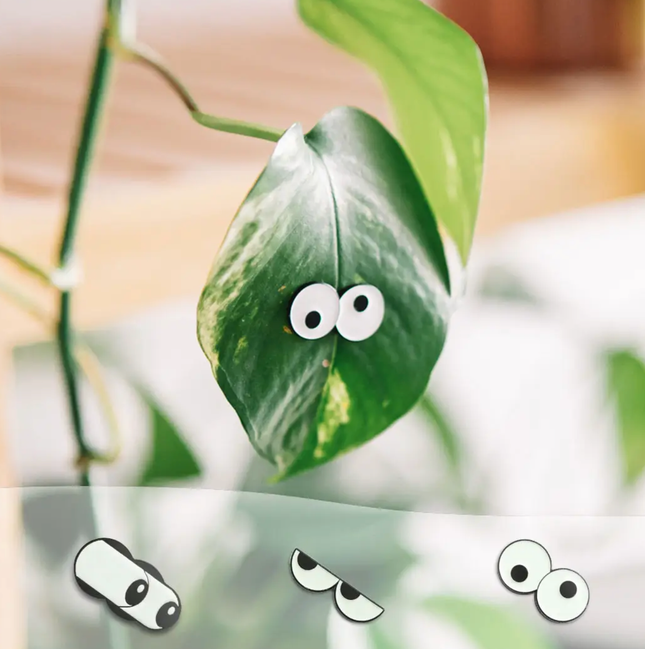 Glow Eyes 4-Pack Magnetic Plant Charms
