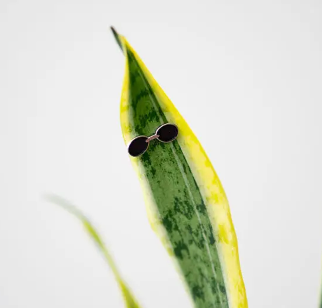 Plant Magnets