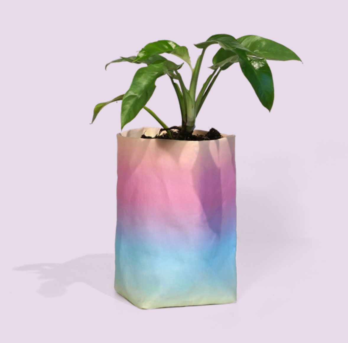 Happy Pot Paper Cover
