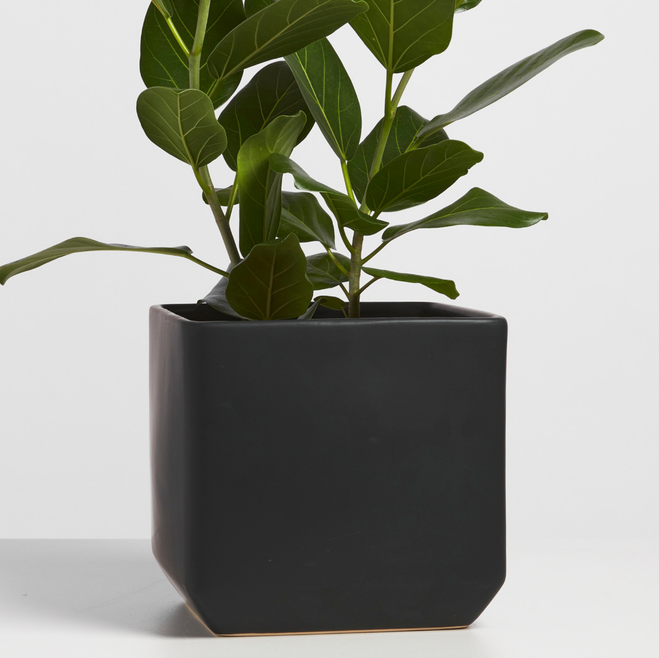 P & P | Square Ceramic