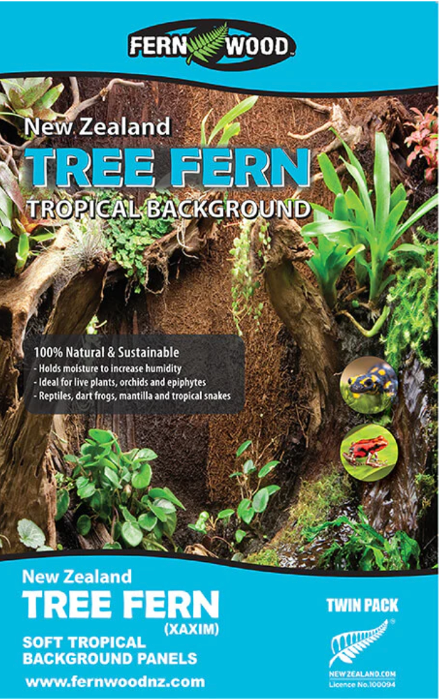 Tree Fern Tropical Background Panels