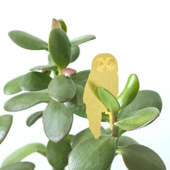 Plant Animals | Another Studio