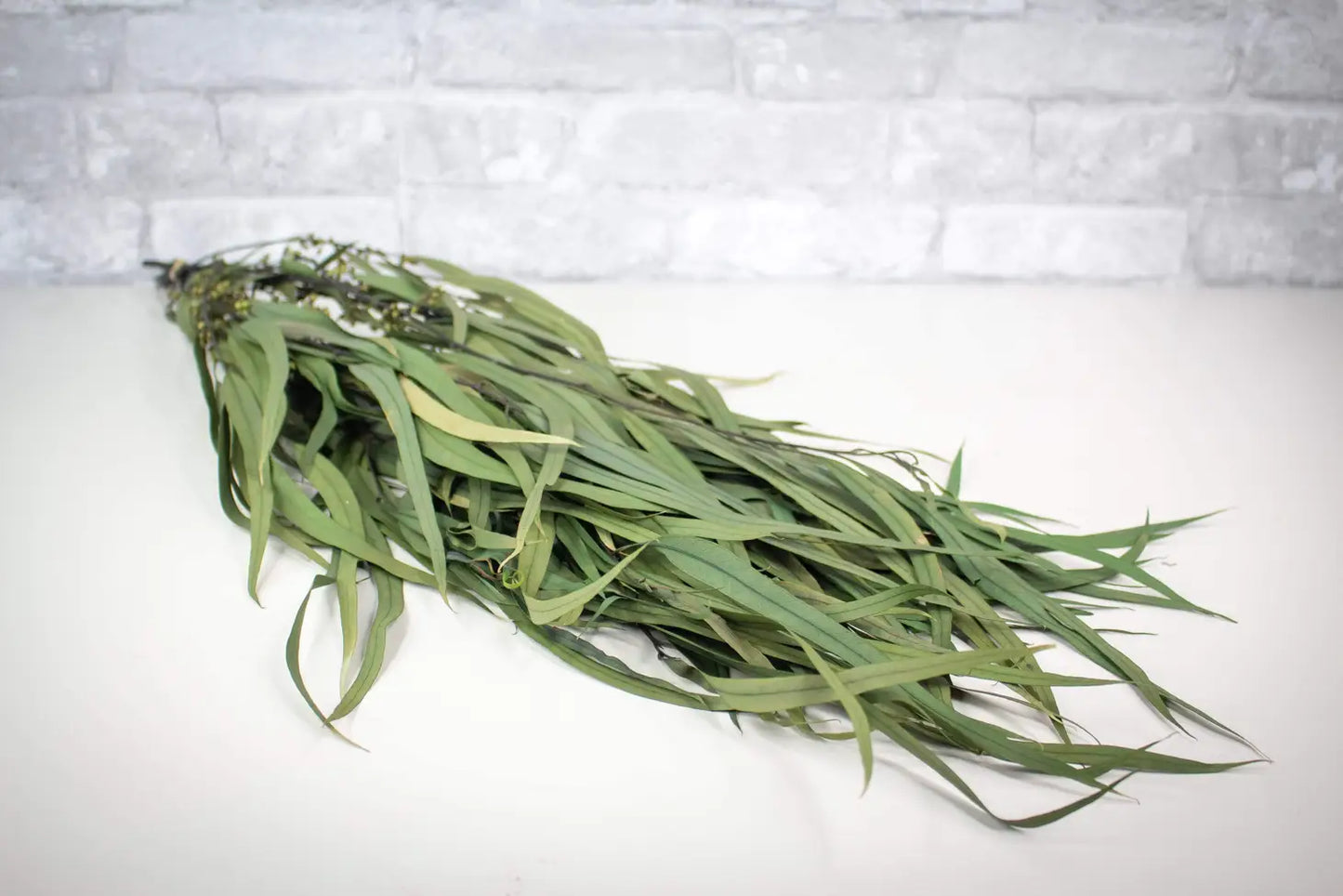 Dried & Preserved Floral | Eucalyptus Willow