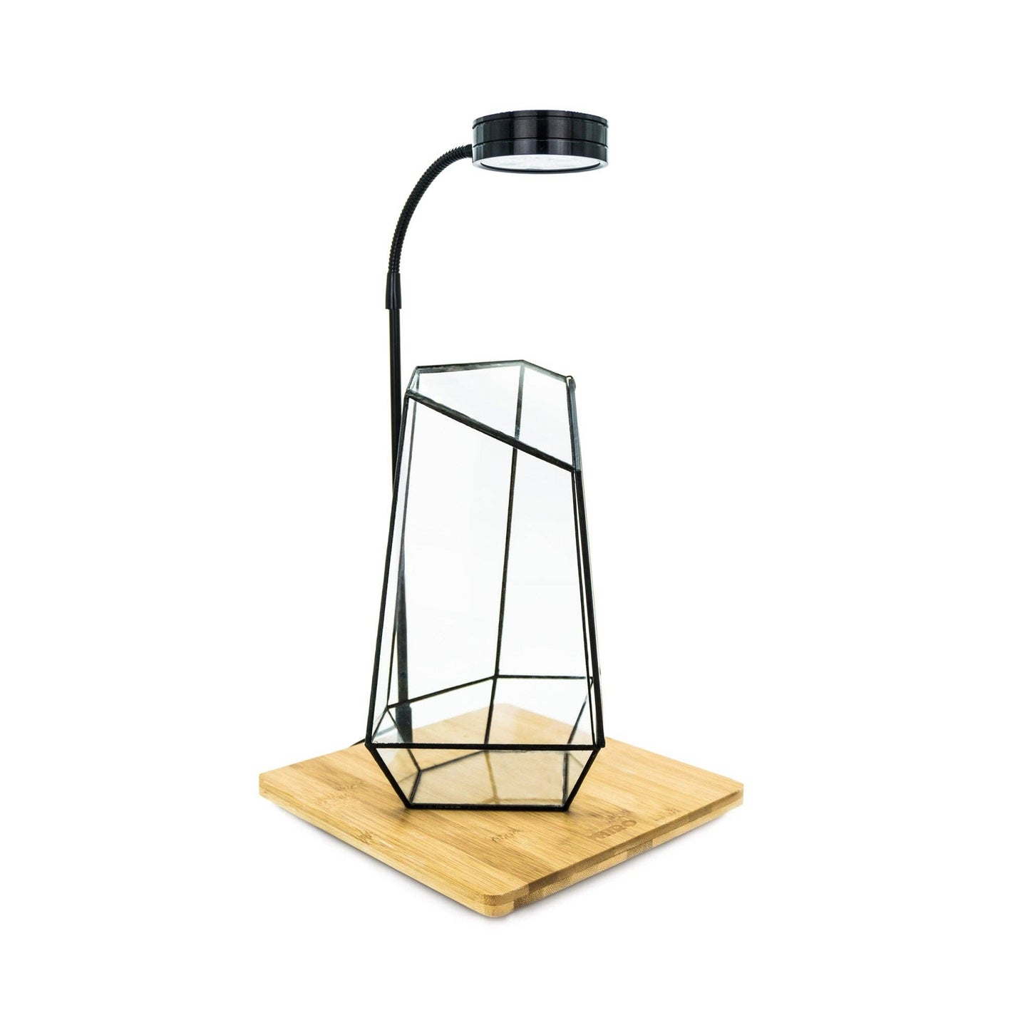 Geometric Glass Garden + Light