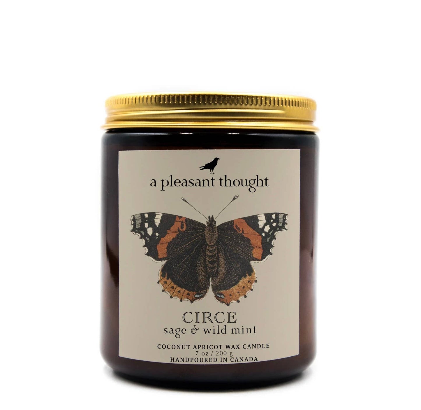CIRCE Sage & Wild Mint | JAR CANDLE