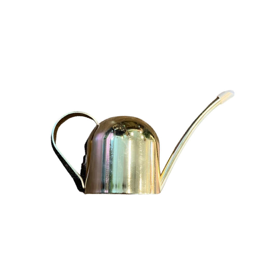Watering Can | Metal Gooseneck 500ml
