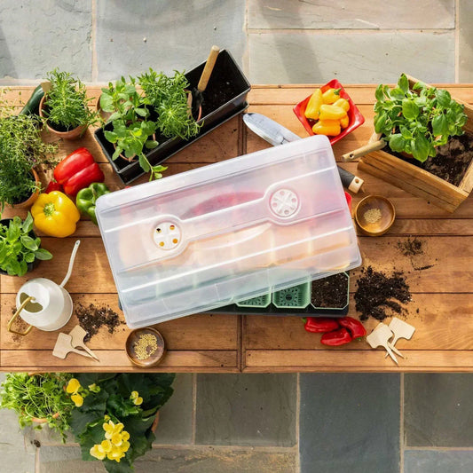 When to Start Seeds indoors in Alberta
