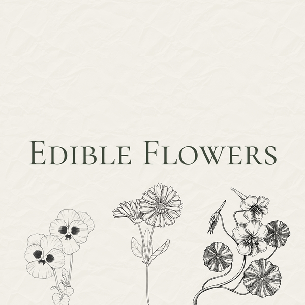 Edible Flower Seeds