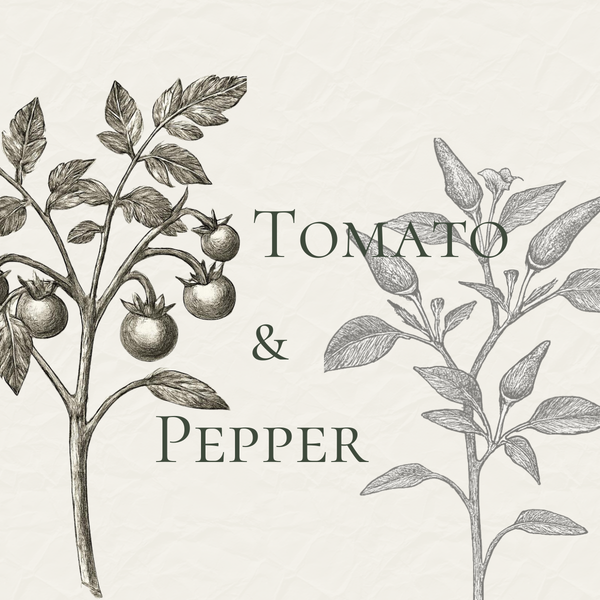 Tomato & Peppers Seeds