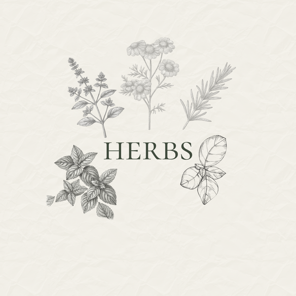 Herb Seeds