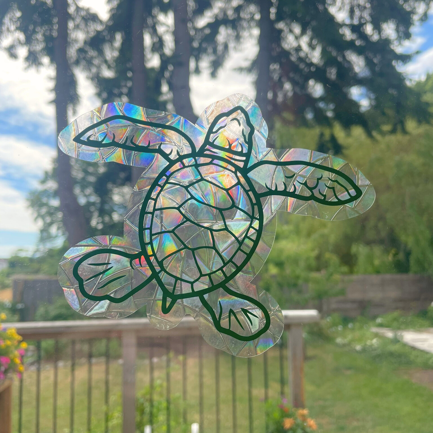 Suncatcher Sticker  Turtle