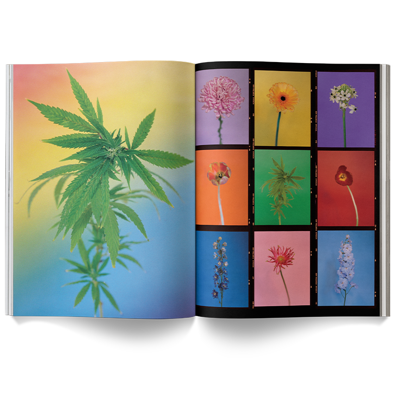 A Weed is a Flower Coffee Table Book