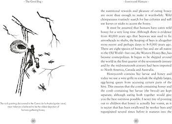 Good Bug: A Celebration of Insects