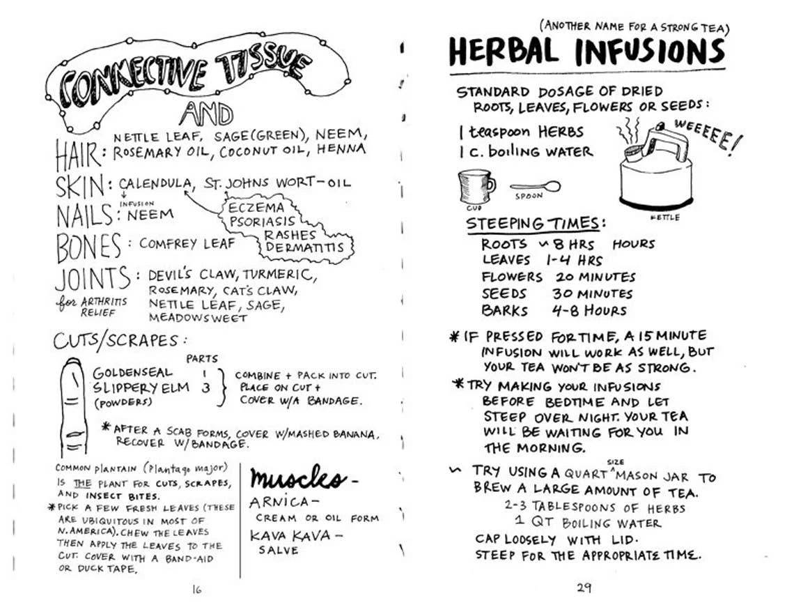 Healing Your Magical Body with Plants & Minerals Zine